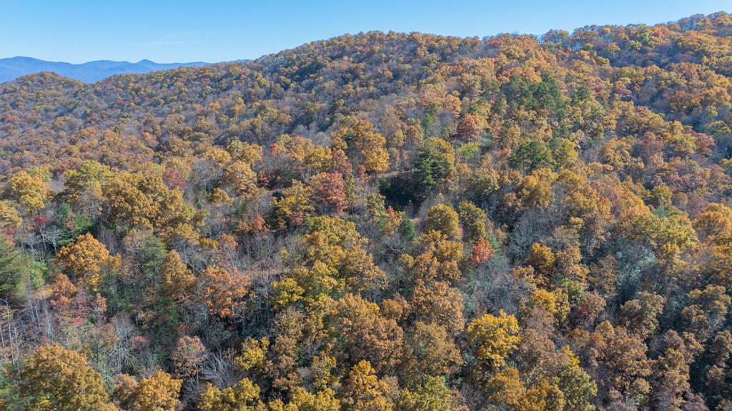 10/11 Sequoyah View Trail