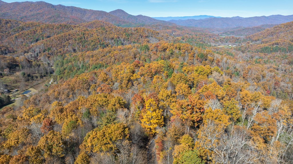 10/11 Sequoyah View Trail