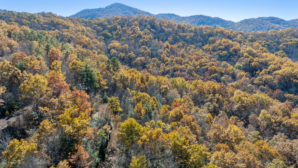 10/11 Sequoyah View Trail