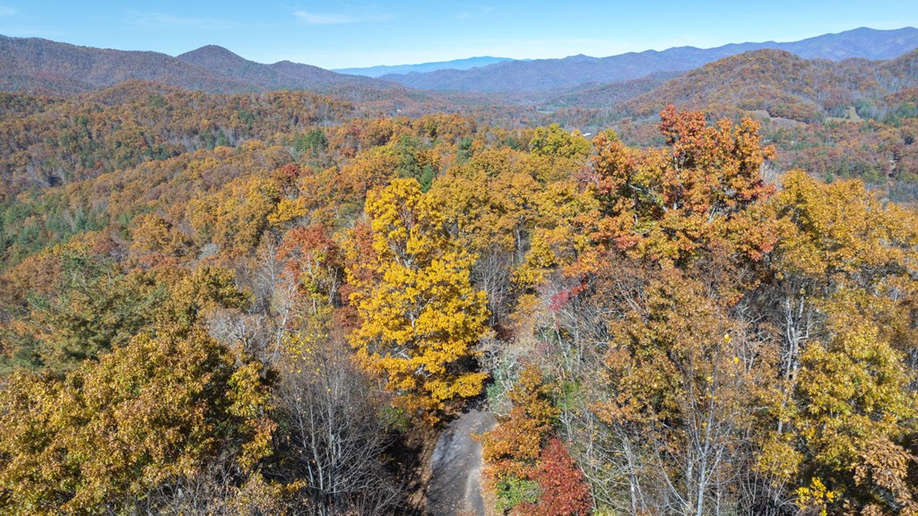 10/11 Sequoyah View Trail