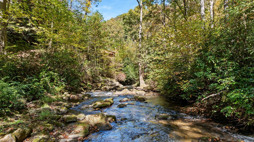 174 Upper Middle Creek Rd