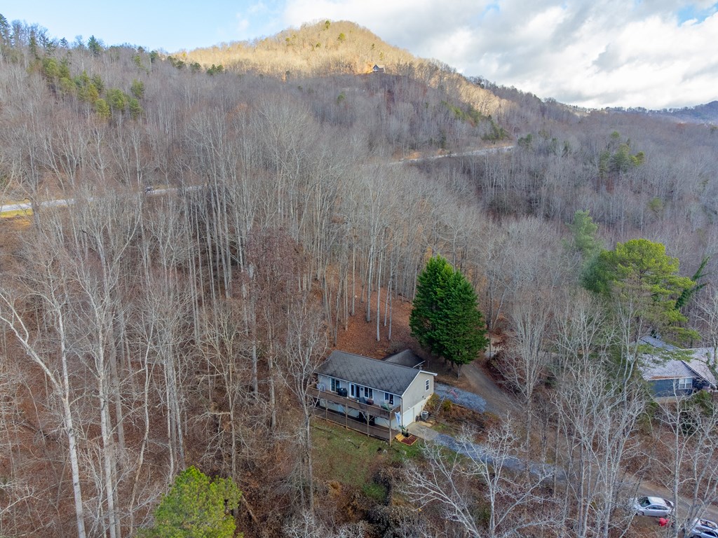 290 Watauga Creek Trail