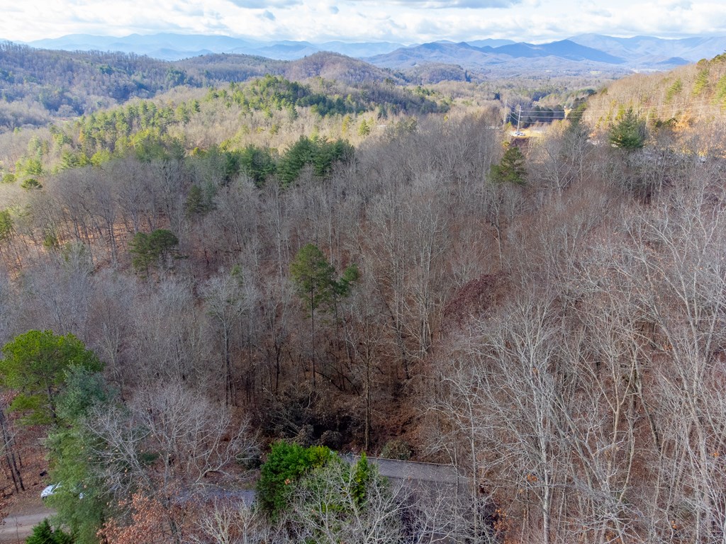 290 Watauga Creek Trail