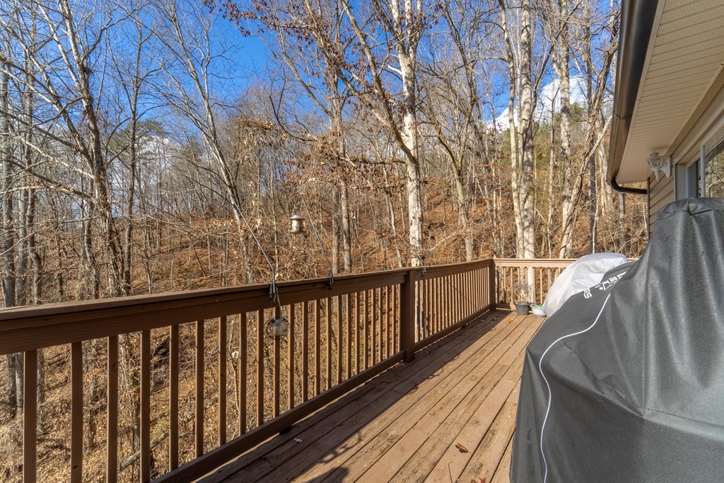 290 Watauga Creek Trail