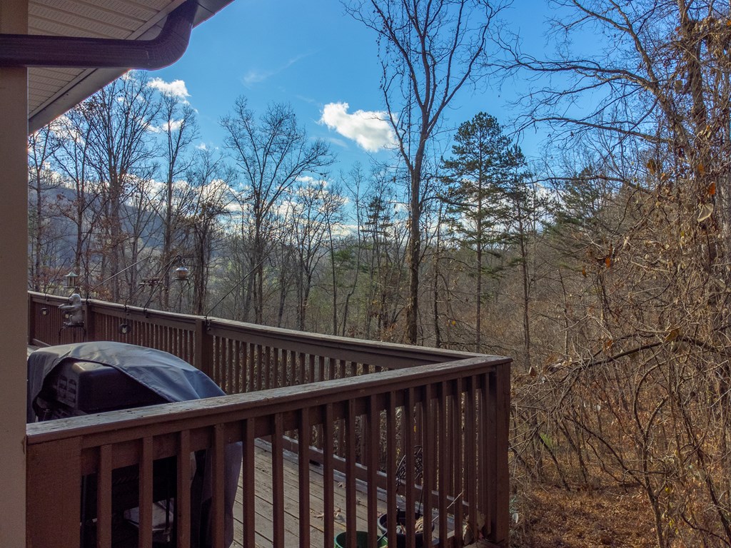 290 Watauga Creek Trail