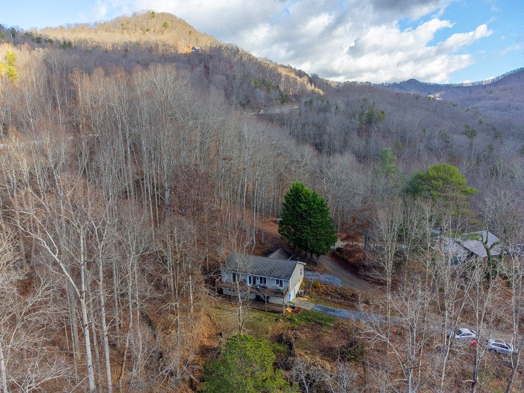 290 Watauga Creek Trail