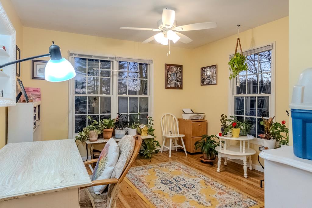 46 Ivar St
