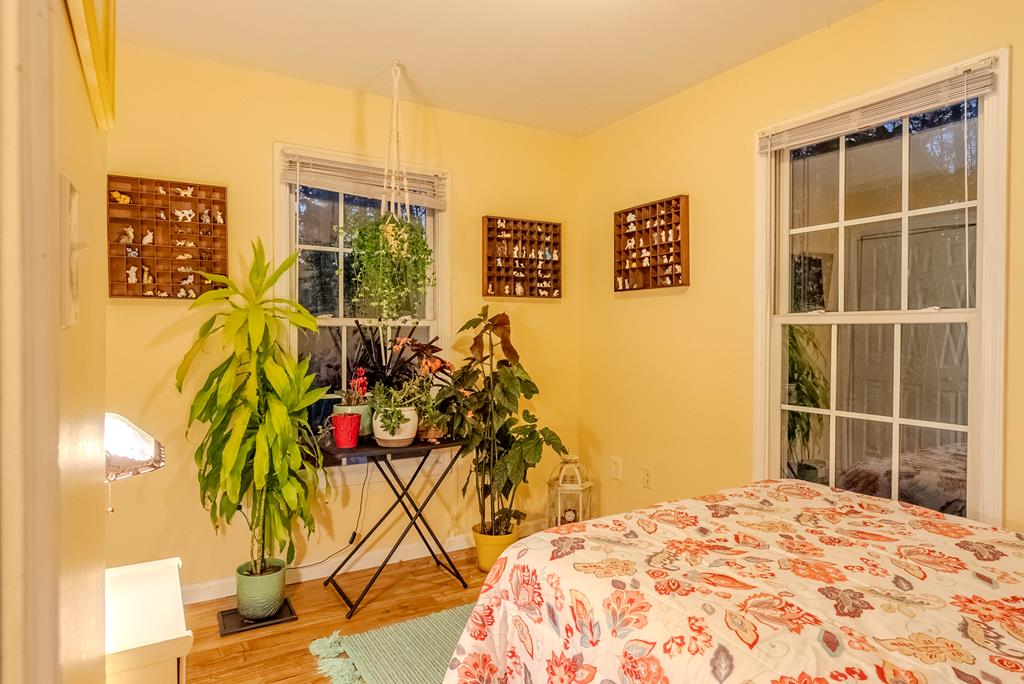 46 Ivar St