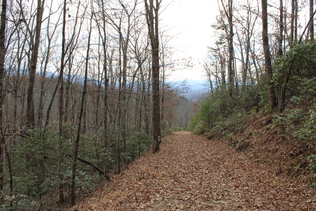 00 Lyle Knob