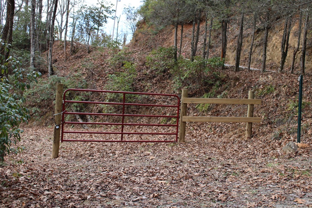 00 Lyle Knob