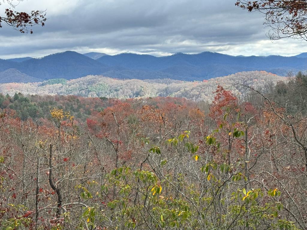 00 Lyle Knob