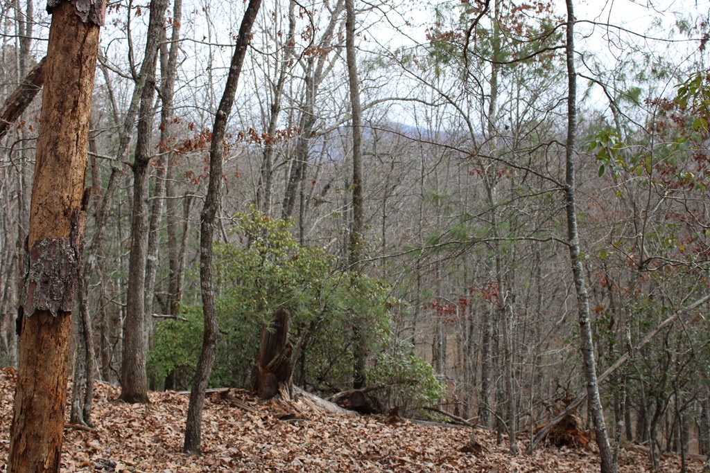 00 Lyle Knob