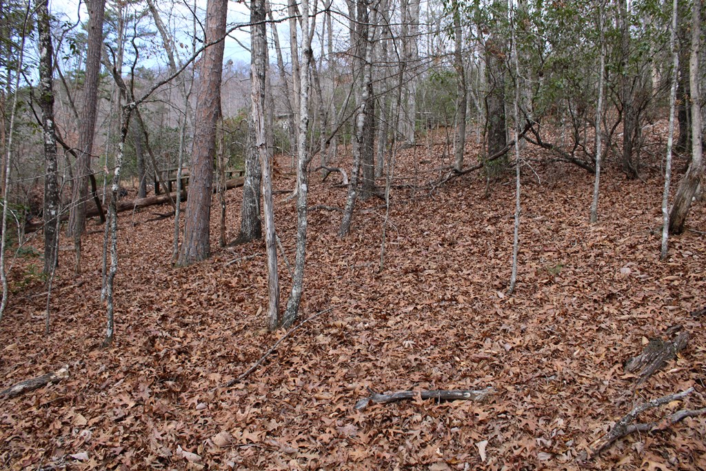 00 Lyle Knob