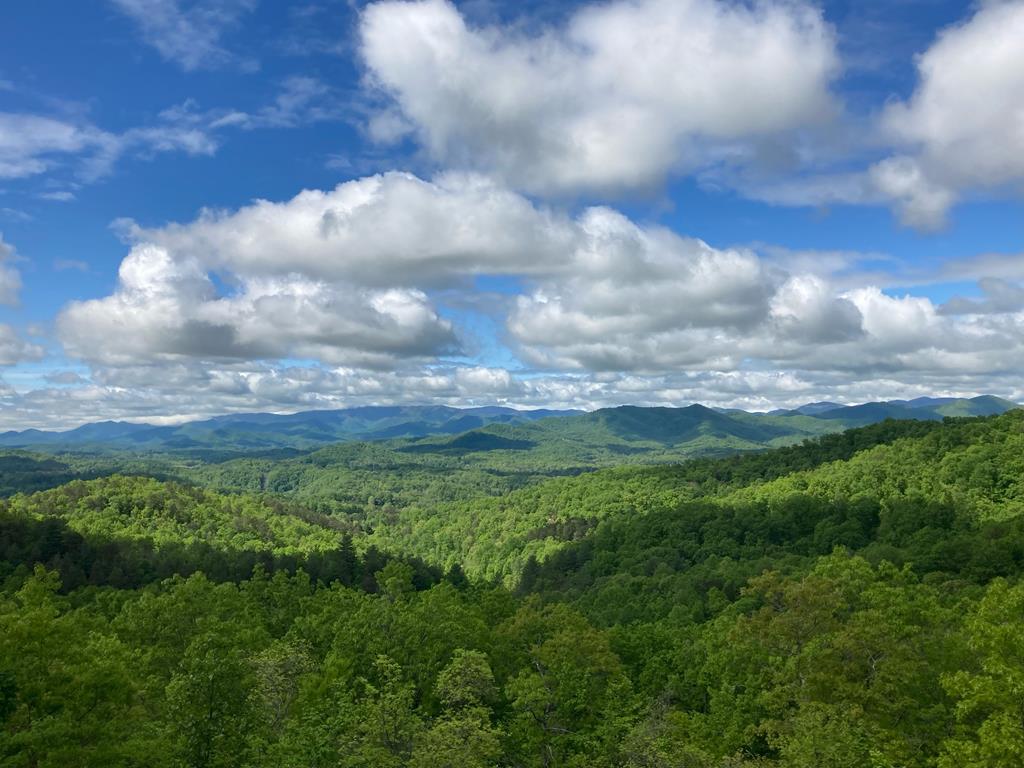 00 Lyle Knob