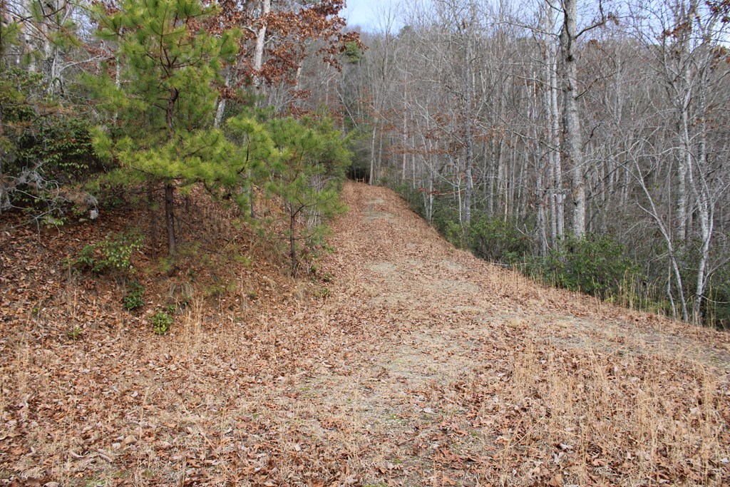 00 Lyle Knob