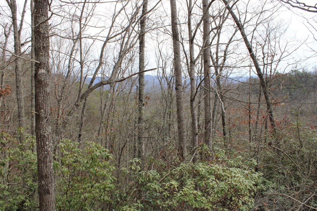 00 Lyle Knob