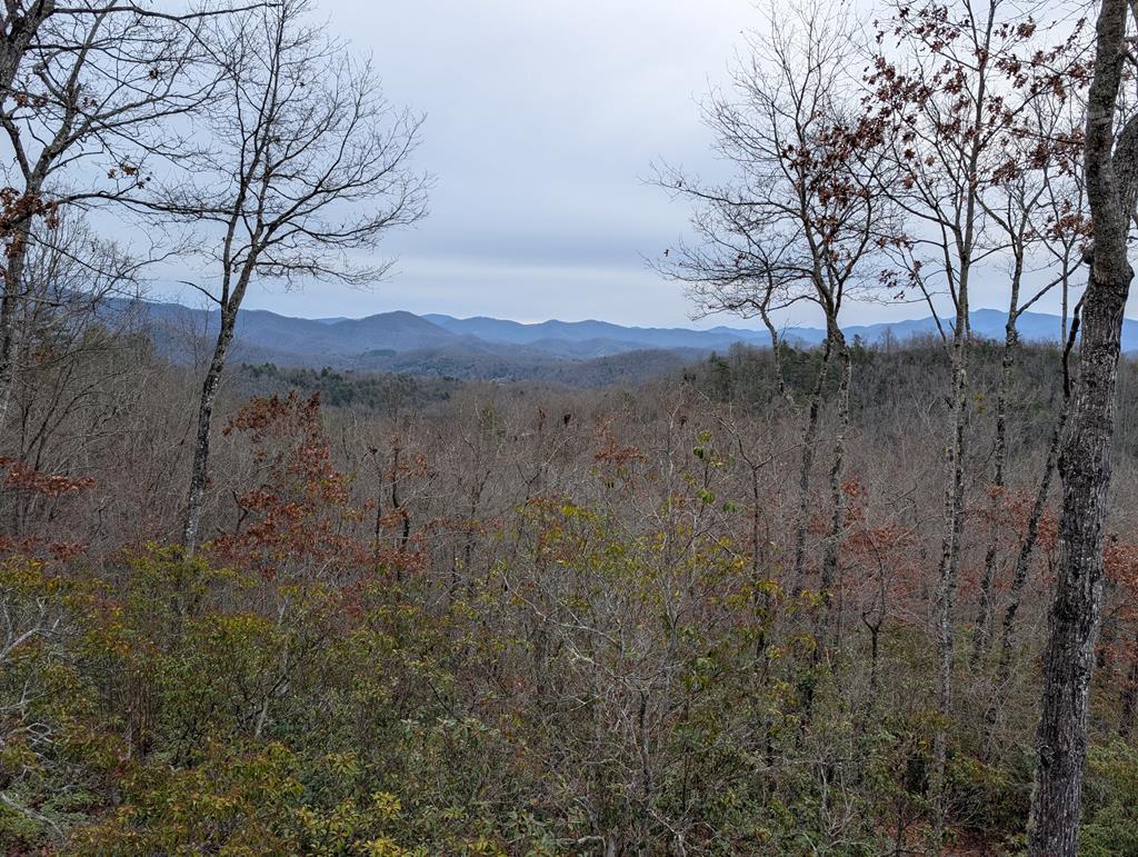 00 Lyle Knob