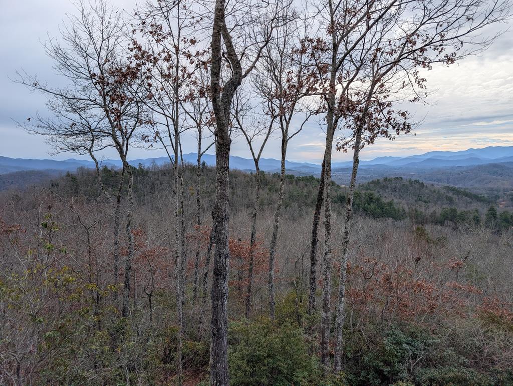 00 Lyle Knob
