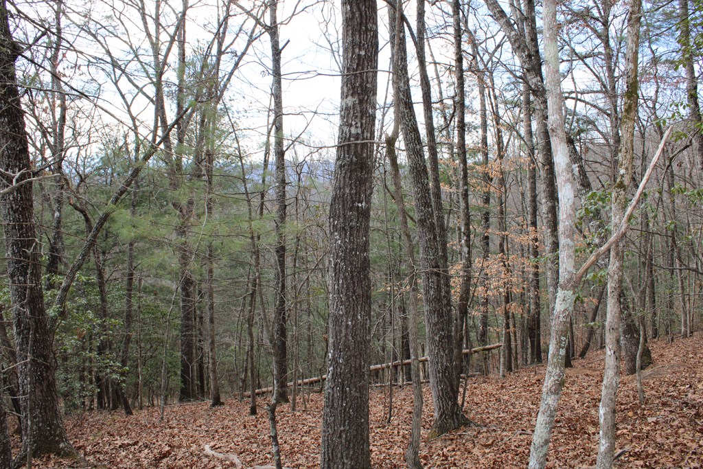 00 Lyle Knob
