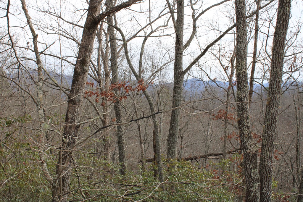 00 Lyle Knob