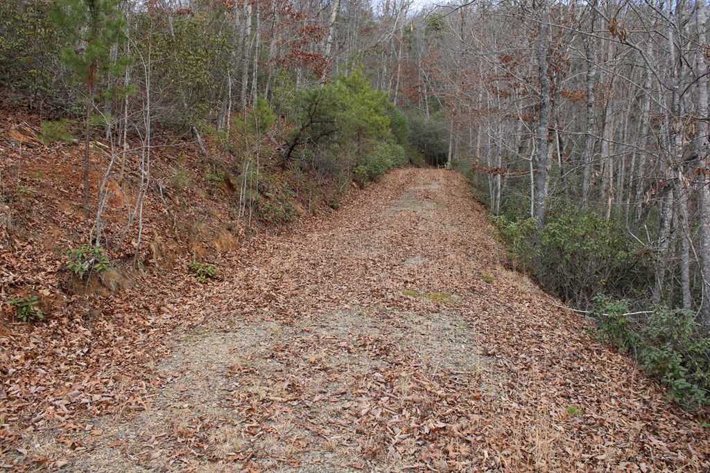 00 Lyle Knob