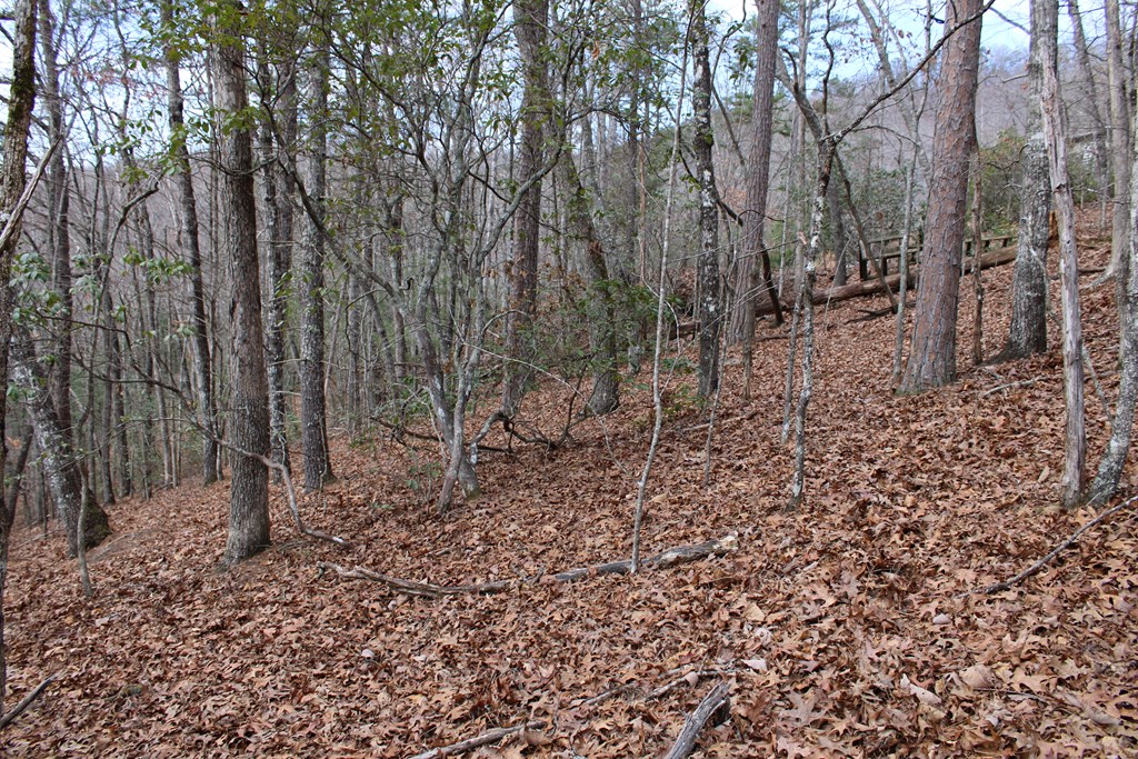 00 Lyle Knob