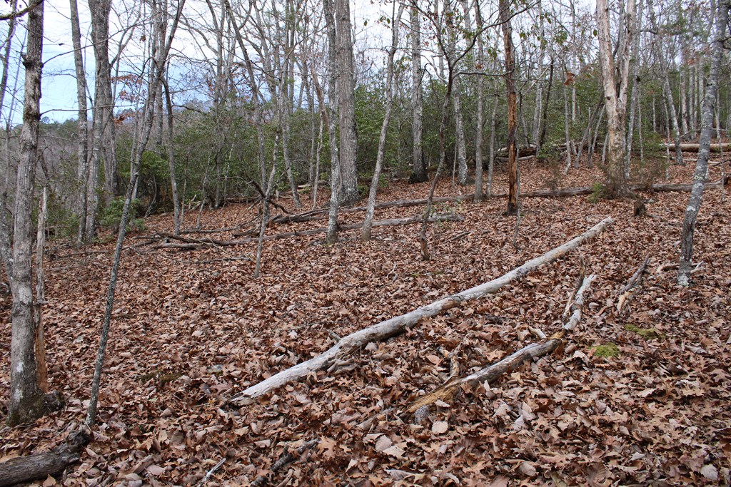 00 Lyle Knob