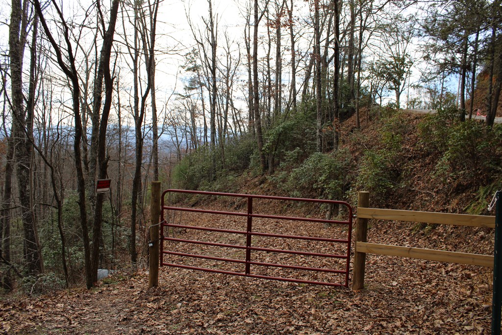 00 Lyle Knob