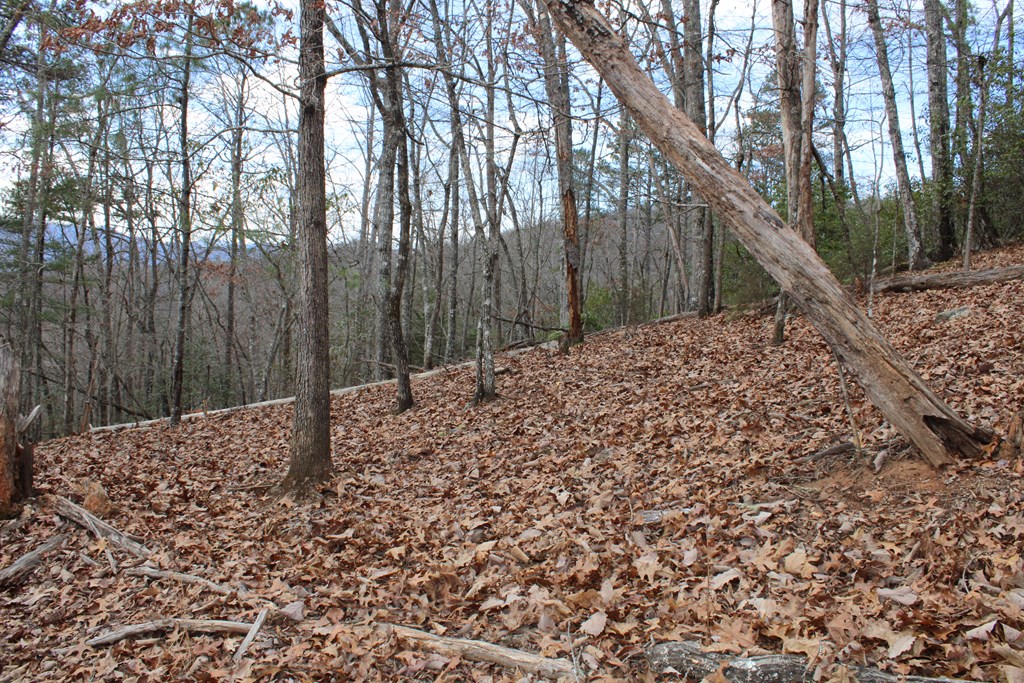 00 Lyle Knob