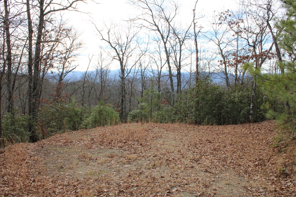 00 Lyle Knob