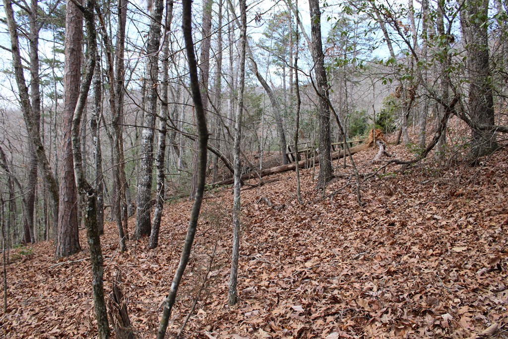 00 Lyle Knob