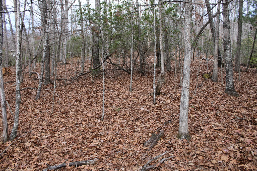 00 Lyle Knob