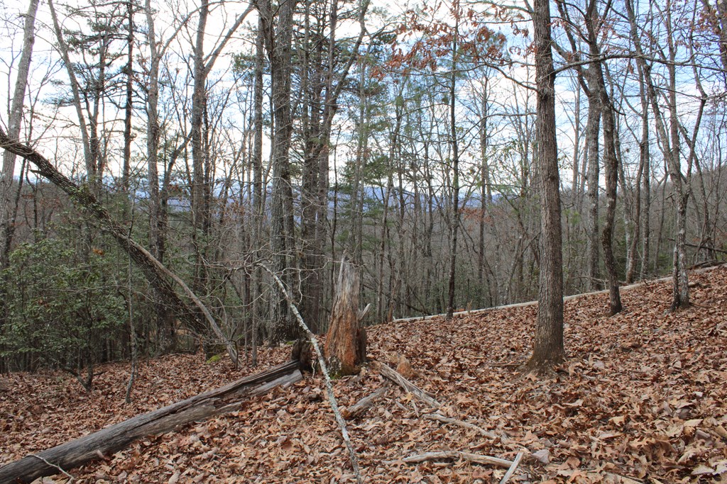 00 Lyle Knob