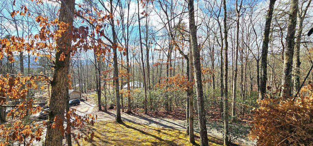 110 Bailey Hills Rd.