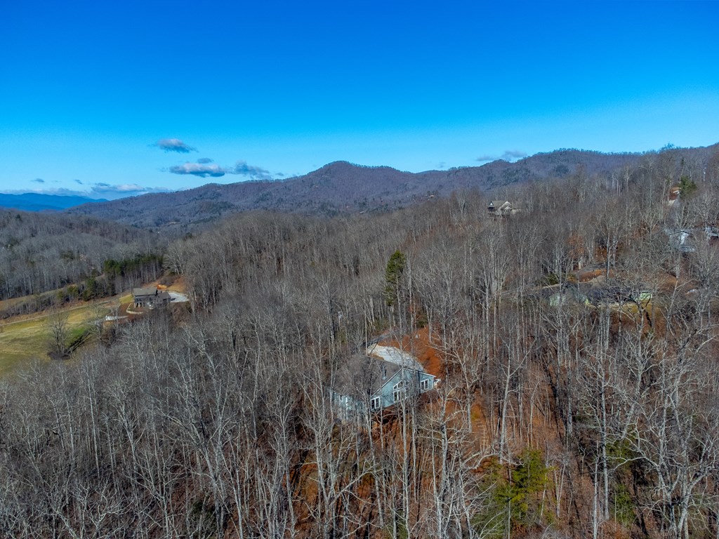 1043 HOLLY TERRACE RD