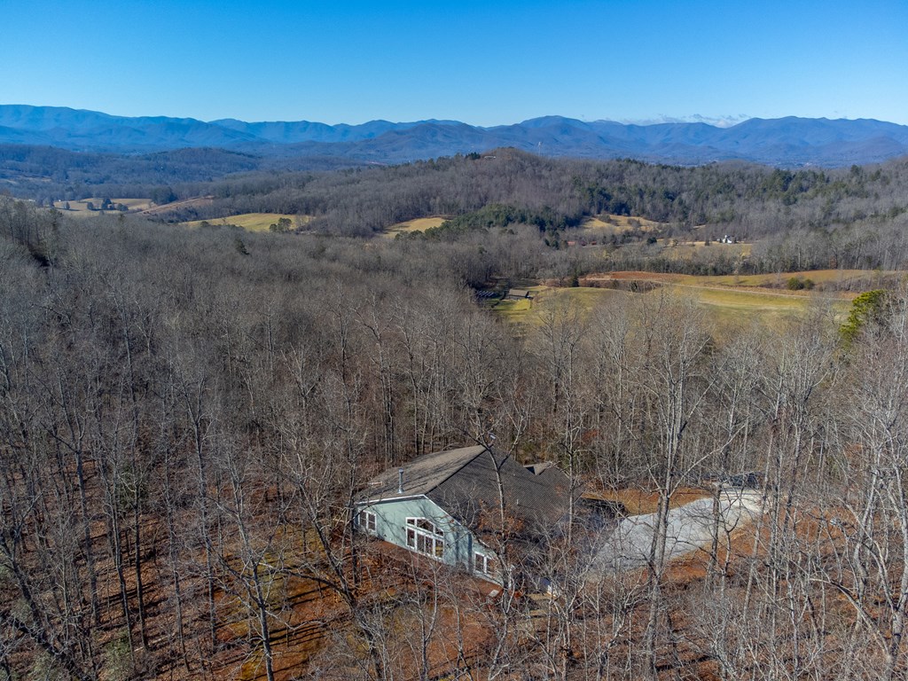 1043 HOLLY TERRACE RD