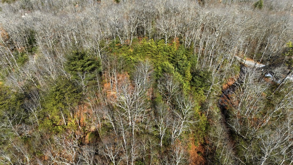 Lot 7 Quail Ridge Road