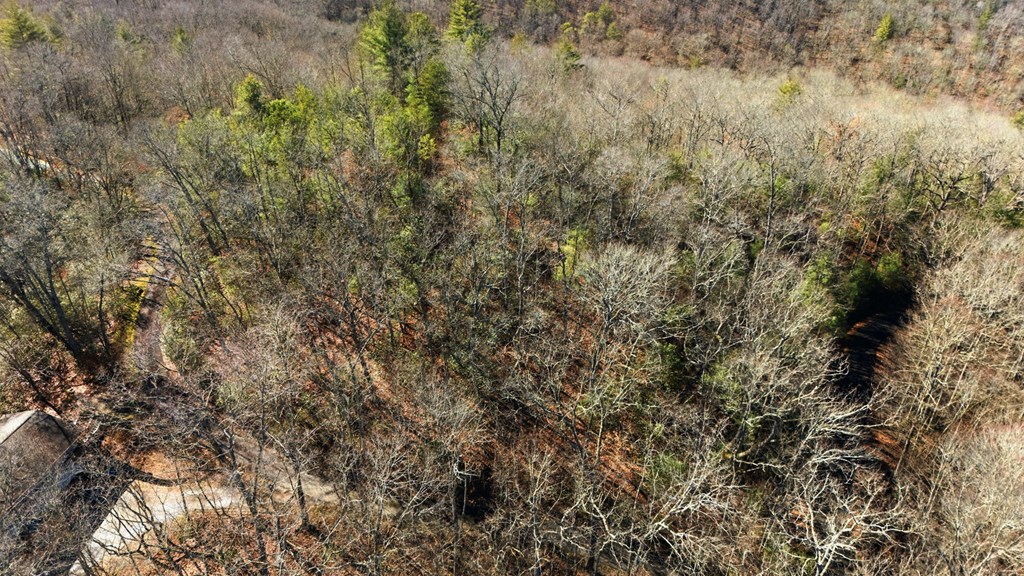 Lot 7 Quail Ridge Road