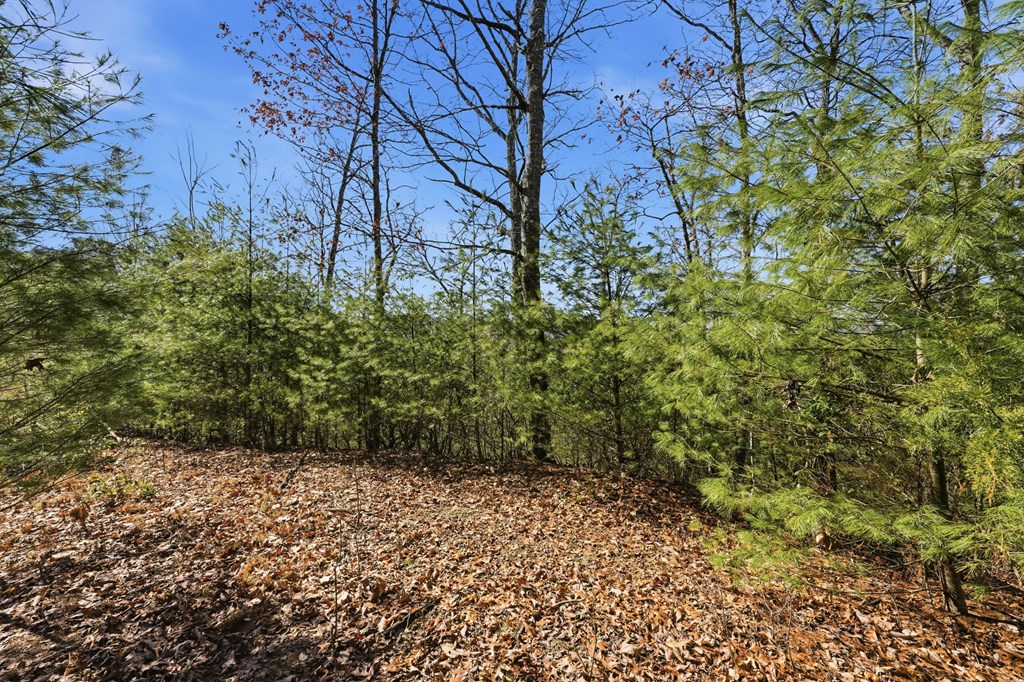 Lot 6 Elkhorn Ridge Drive