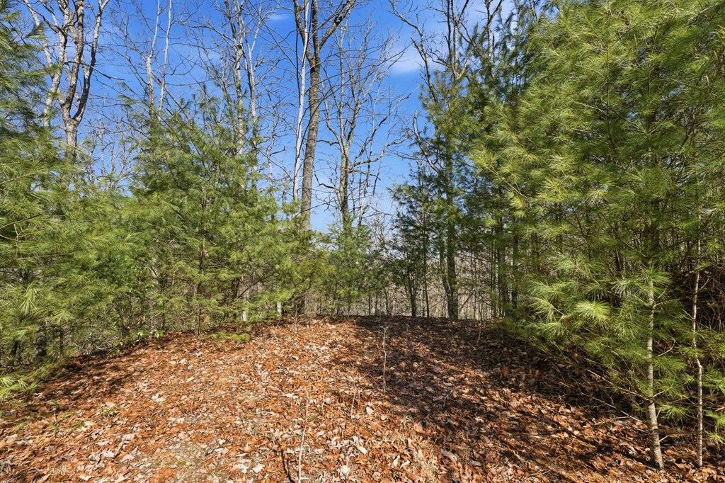 Lot 6 Elkhorn Ridge Drive