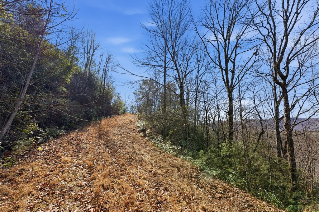 Lot 8 Elkhorn Ridge Drive