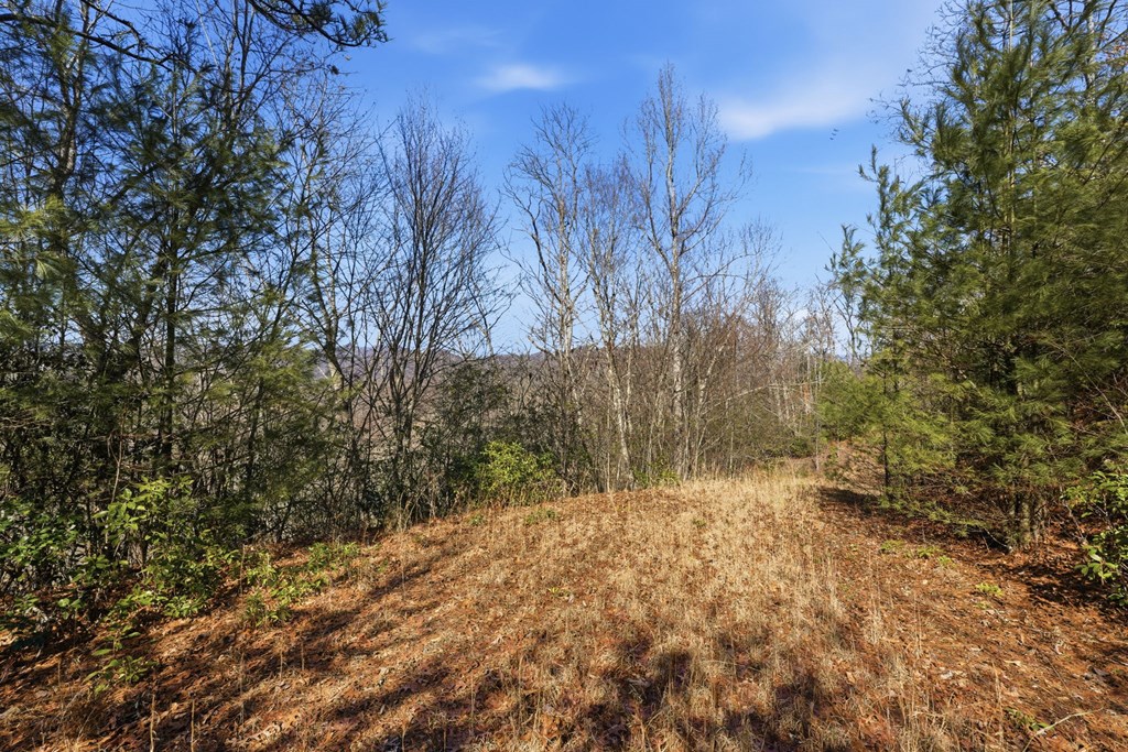 00 Elkhorn Ridge Drive