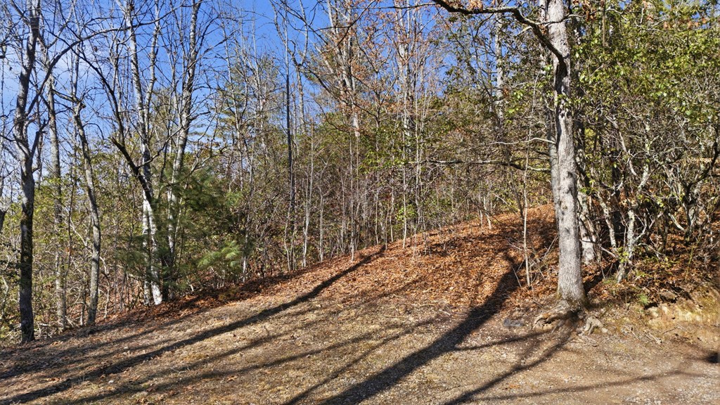 00 Elkhorn Ridge Drive