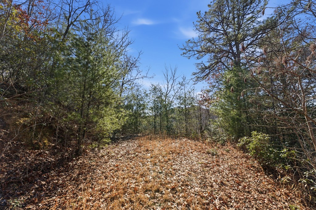 00 Elkhorn Ridge Drive