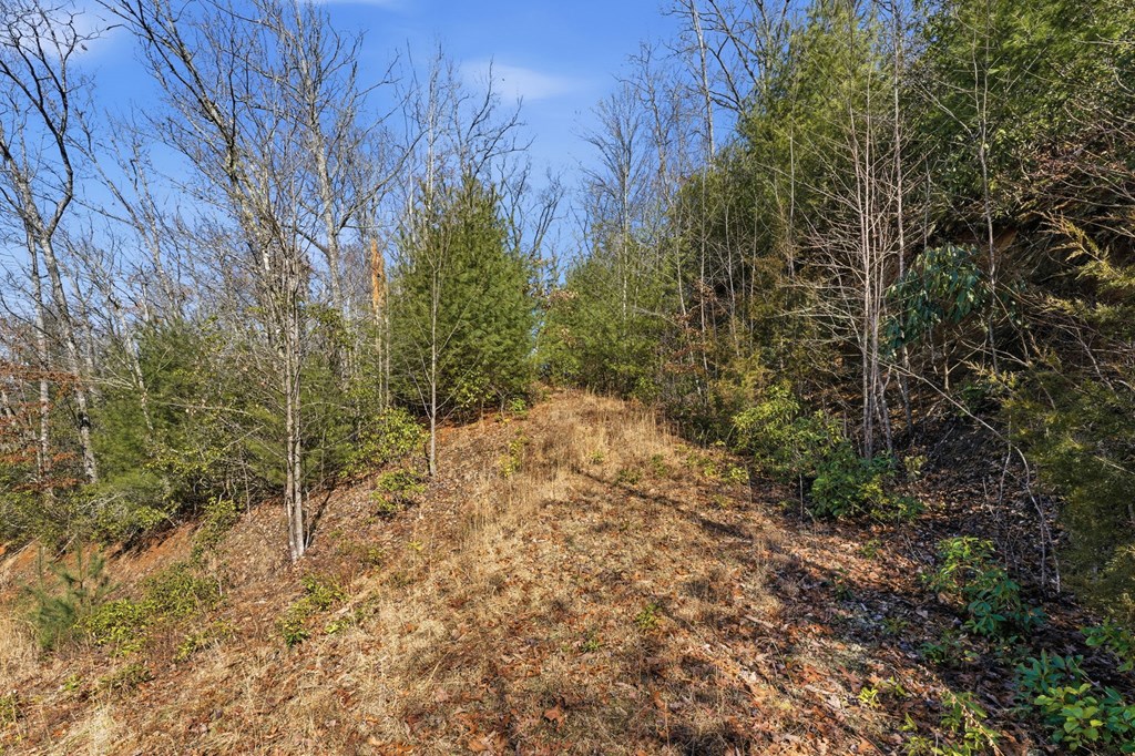 00 Elkhorn Ridge Drive