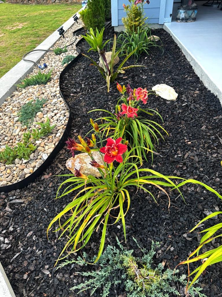 307 Sunset View Trail