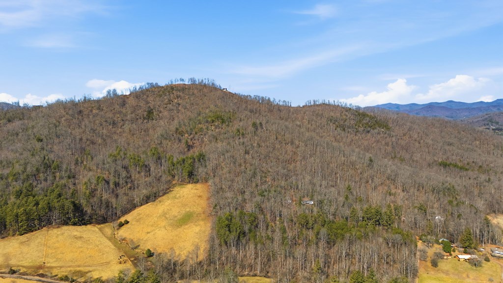 00 Bryson Branch Road