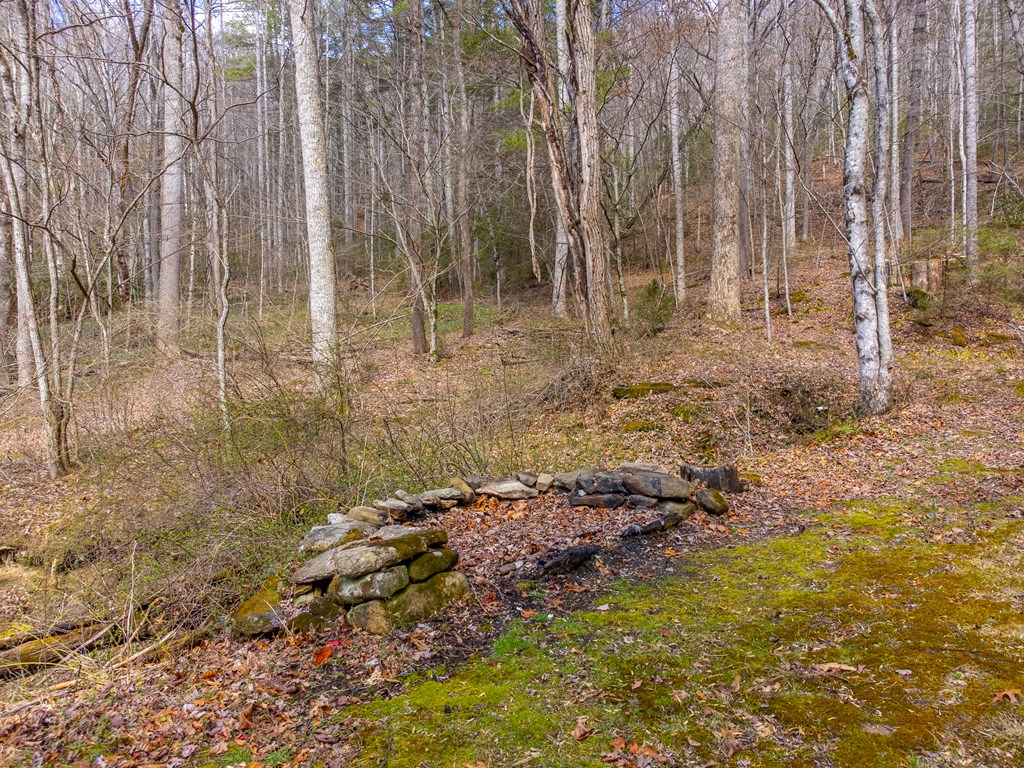 3808 Walnut Creek Rd