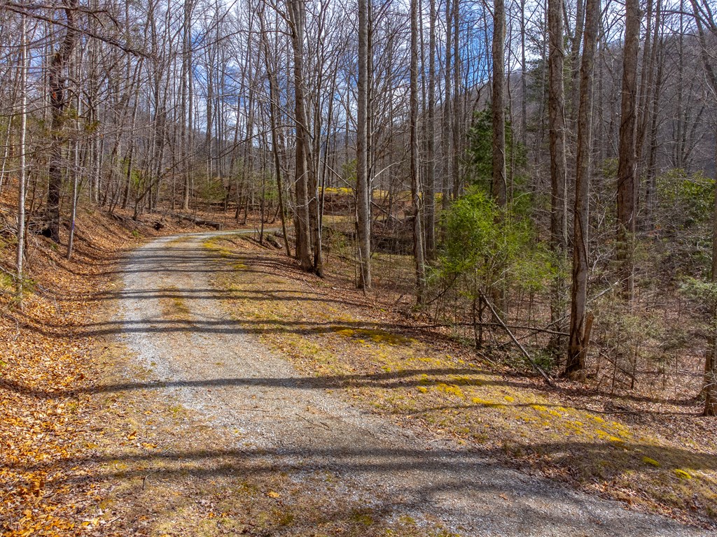 3808 Walnut Creek Rd