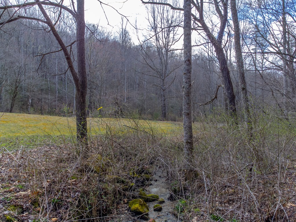 3808 Walnut Creek Rd